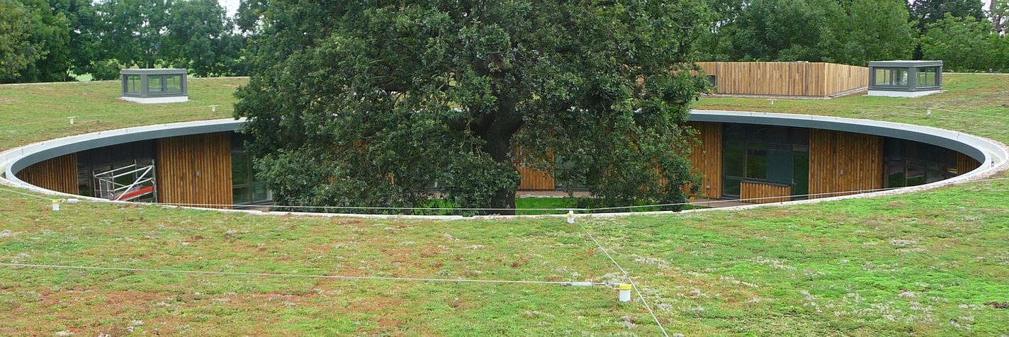 zeleni krov